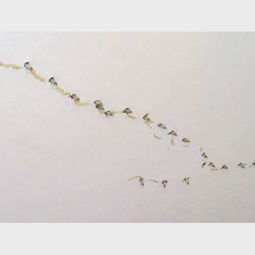 深圳航城街道屋顶防水补漏